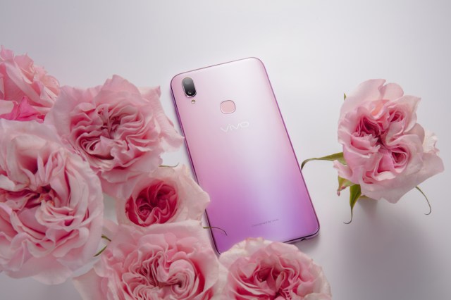 VIVO v11 flowers b